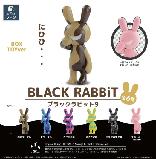  SO-TA BLACK RABBiT9 (6 Piece Box) 