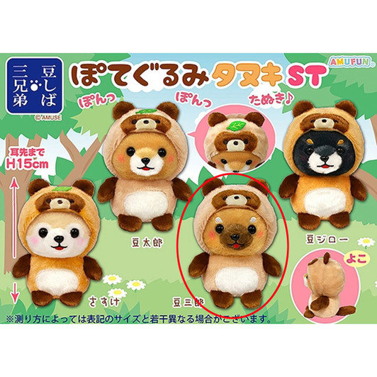 Amuse Mameshiba Three Brothers Potegurumi Raccoon Dog Plush Toy Mamesaburo