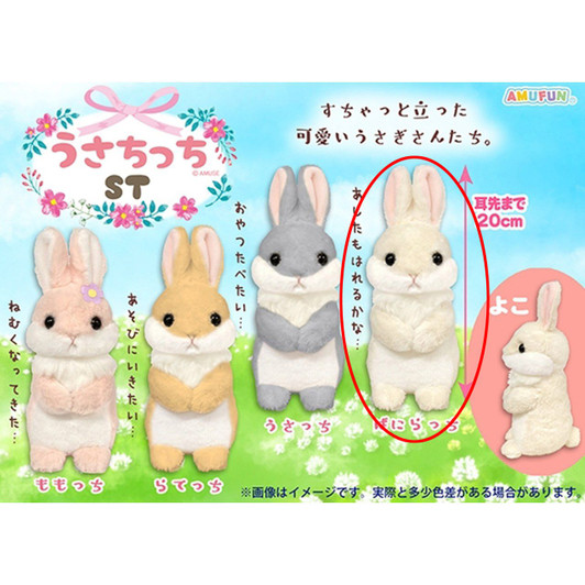 Amuse Usachicchi Plush Toy Baniracchi