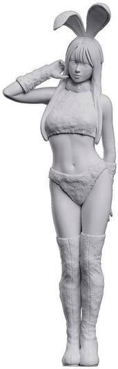  Hasegawa 1/12 12 Real Figure Collection No.45 Bunny Cosplay Resin Figure 