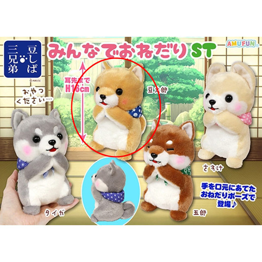 Amuse Mameshiba Three Brothers All Together Begging Plush Toy Mame Taro