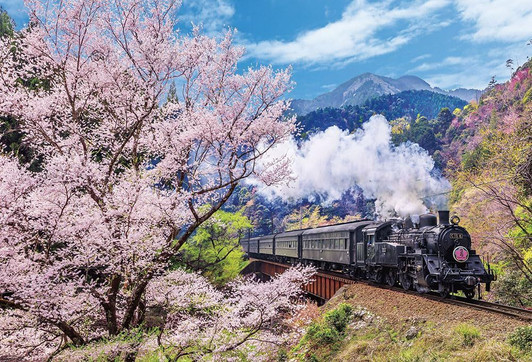 Jigsaw Puzzle Oigawa Railway and Cherry Blossoms (1000 Pieces)