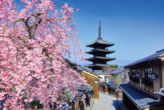 Yanoman Jigsaw Puzzle Yasaka Pagoda (Kyoto) with cherry blossoms (1000 Pieces) 