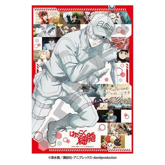  Ensky Jigsaw Puzzle Still active today! (300 Pieces) 