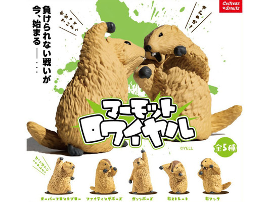 YELL Marmot Royale 10 Piece Box Ale