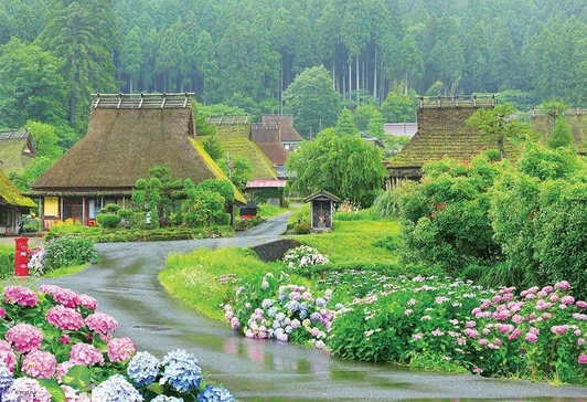 Beverly Jigsaw Puzzle Hydrangeas Blooming in Miyama Town (1000 Pieces) 