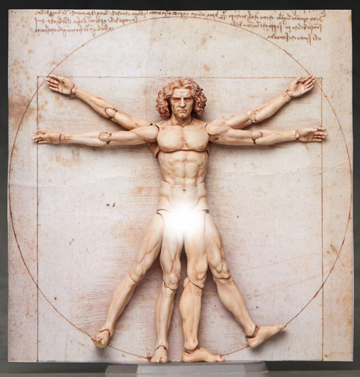 FREEing figma Vitruvian Man (The Table Museum) (Rerelease)