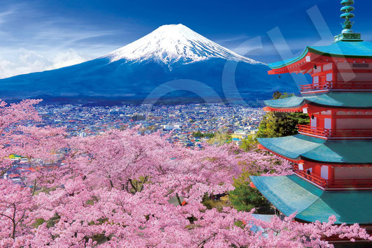 Jigsaw Puzzle - Japanese Scenery Spring Breeze Mount Fuji And Five Story Pagoda Yamanashi Model Includes Glue Spatula A (1000 Pieces)
