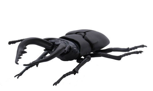 Fujimi Model Independent Research Series No 22 Living Creatures Edition Stag Beetle 2 Pack Non Scale Precolored