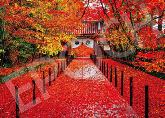 Jigsaw Puzzle - Japanese Scenery Komyoji In Late Autumn Kyoto With (500 Pieces)