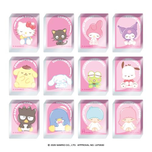 Ensky Sanrio Characters Acrylic Block Full Box 