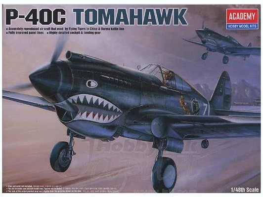 Other 1/48 P-40C Plastic Model