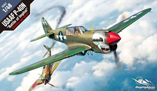 Other 1/48 P-40N War Hawk "battle of Imphal" Plastic Model