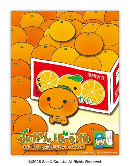 Jigsaw Puzzle  Paper Shadow Art Mini Mikan Boy