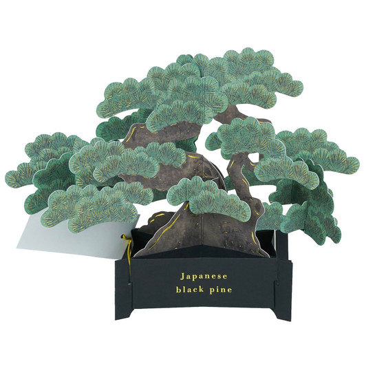 Greeting Life Bonsai Pop Up Card Black Pine KE-65 Multipurpose
