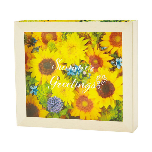 Sanrio Message Card Sunflower Flower Box JSP 89-6 Summer 040894