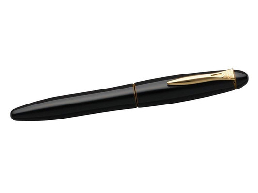 Platinum Pen Izumo Biwa Tame Fountain Pen - Medium Nib