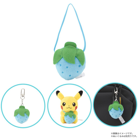 Pokemon Center Original Held Item Mini Mini Mascot Chigo Only