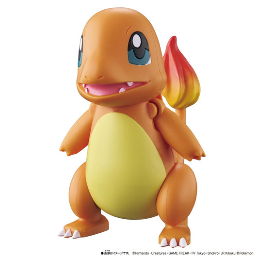 Pokemon Center Original Pokemon Change Charmander / Charizard