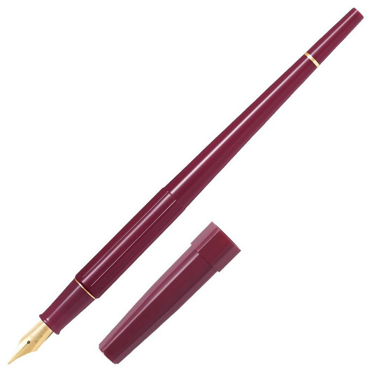 Pilot Desk Pen Pack Fountain Pen - Red Medium Nib