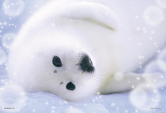 Jigsaw Puzzle Lazy Seal (108 Pieces)