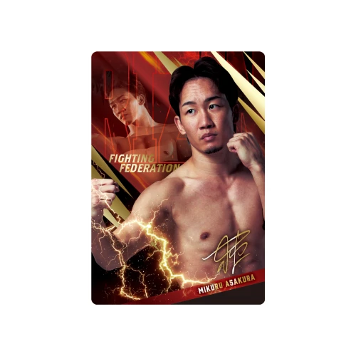 Bandai Candy RIZIN Twin Wafers 26 Fighter Card Collection (FULL BOX)