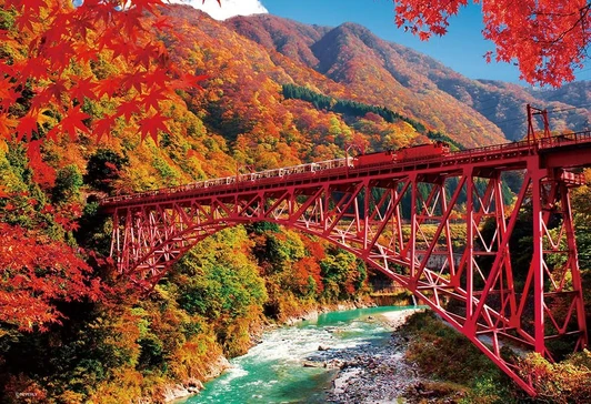 Jigsaw Puzzle Kurobe Gorge with autumn foliage and the trolley train (300 Pieces)