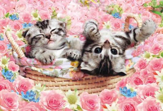 Epoch Jigsaw Puzzle 25-142 Kitty Cats with Beautiful Roses (300 Pieces)