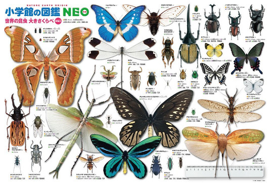 Beverly Jigsaw Puzzle B61-423 World Insects Encyclopedia (1000 Pieces)