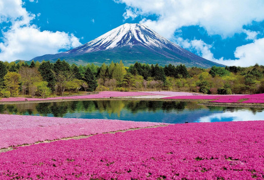Epoch Jigsaw Puzzle 31-002 Mt. Fuji Moss Phlox Pink (1053 S-Pieces)
