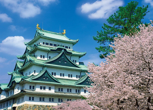Yanoman Jigsaw Puzzle 05-1004 Nagoya Castle Cherry Blossom Aichi Japan (500 Pieces)