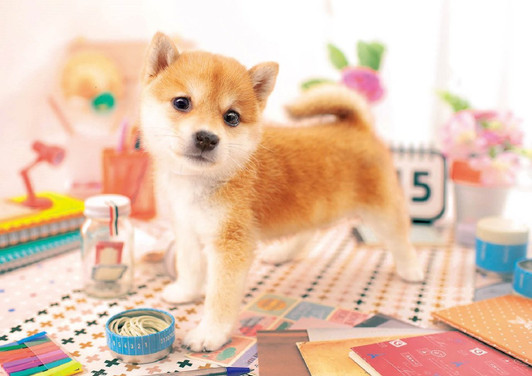 Epoch Jigsaw Puzzle 01-065 Pet Dog Shiba Inu (108 Pieces)