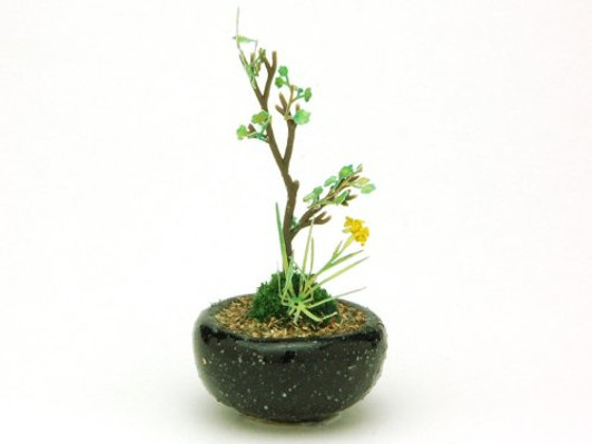 Platz BONN06 The Bonsai Marubachi Planting (Black) 1/12 Scale Finished Model
