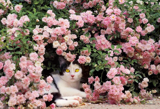 Epoch Jigsaw Puzzle 26-305 Mitsuaki Iwago's Cat Puzzle Mom's Rest (300 Pieces)