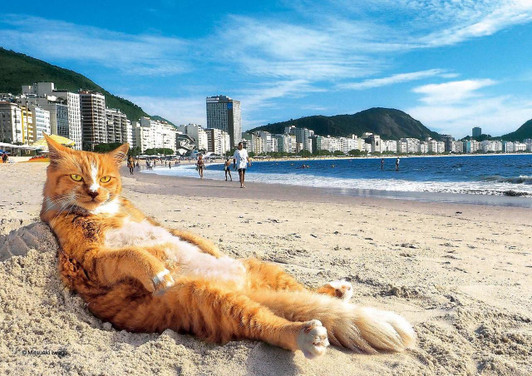Epoch Jigsaw Puzzle 03-052 Mitsuaki Iwago's Cat Puzzle King of the Beach (108 Pieces)