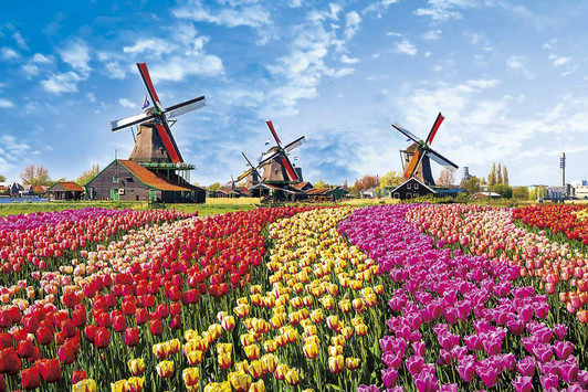Yanoman Jigsaw Puzzle 10-1342 Tulip & Windmill (Netherlands) (1000 Pieces)