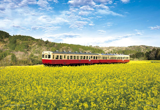 Yanoman Jigsaw Puzzle 03-898 Rapeseed Train (Chiba) (300 Pieces)
