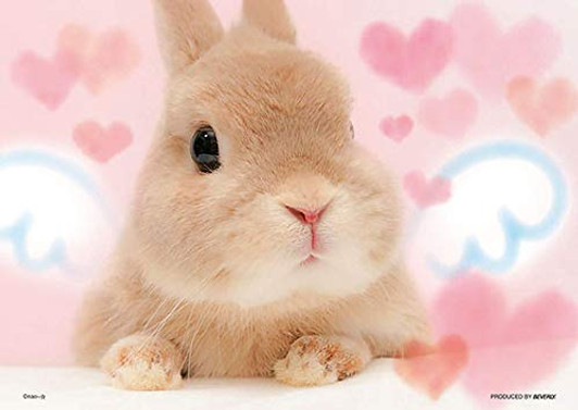 Beverly Jigsaw Puzzle P108-832 Pretty Rabbit Bunny Angel (108 Pieces)