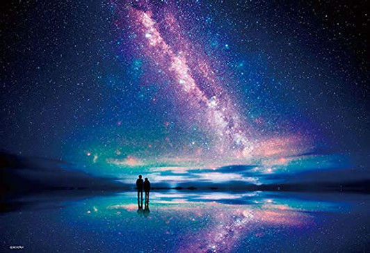 Beverly Jigsaw Puzzle M81-566 Starry Sky Salar de Uyuni Bolivia (1000 Micro Pieces)