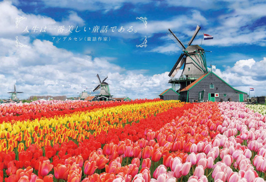 Epoch Jigsaw Puzzle 25-181 Quotation Landscape Andersen (300 Pieces)