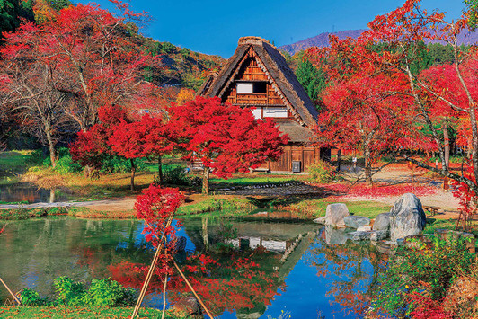 Epoch Jigsaw Puzzle 10-812 Autumn in Shirakawa-Go Gifu Japan (1000 Pieces)
