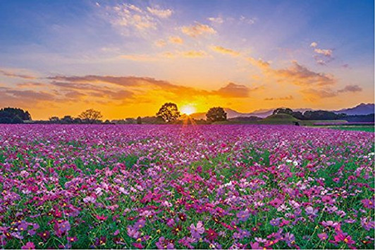 APPLEONE Jigsaw Puzzle 1000-802 Sunset and cosmos in Saitobaru Tombs (1000 Pieces)