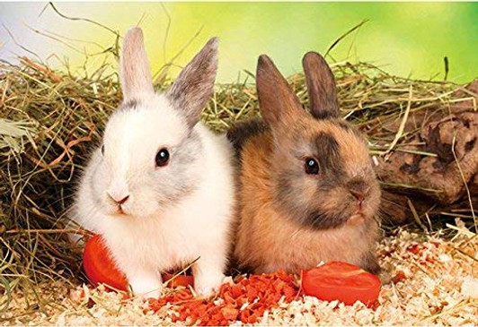 APPLEONE Jigsaw Puzzle 88-107 We are Vegetarian Bunnies (88 L-Pieces)