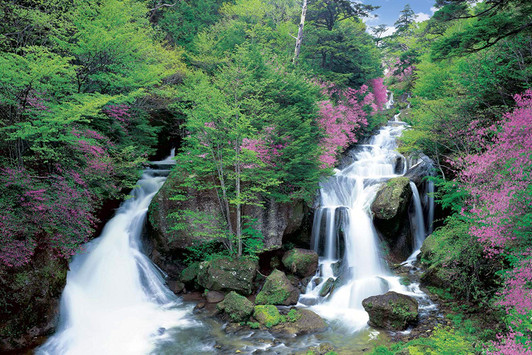 Epoch Jigsaw Puzzle 10-784 Japanese Landscape Ryuzu Waterfall in Tochigi (1000 Pieces)