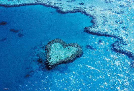 Beverly Jigsaw Puzzle 33-176 Heart Reef Island (Australia) (300 Pieces)