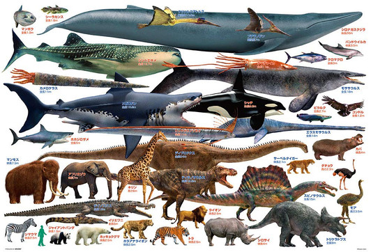 Beverly Jigsaw Puzzle 61-441 The Animal Book (Size Comparison of Large Creature) (1000 Pieces) Beverly Jigsaw Puzzle 61-441 The Animal Book (Size Comparison of Large Creature) (1000 Pieces)