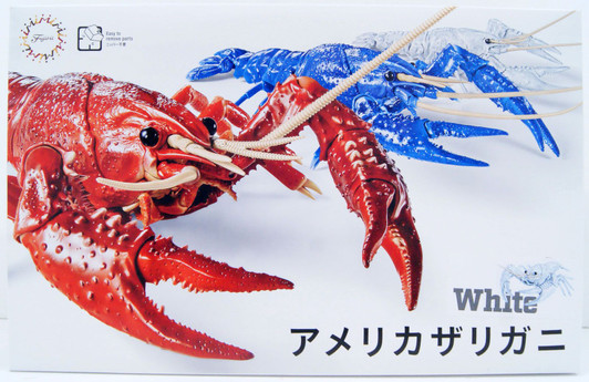Fujimi Research Series Procambarus Clarkii / Louisiana Crawfish (White) Plastic Model