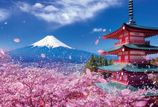 Beverly Jigsaw Puzzle M81-588 Asama Shrine with Fuji Mountain and Cherry Blossom (1000 S-Pieces)