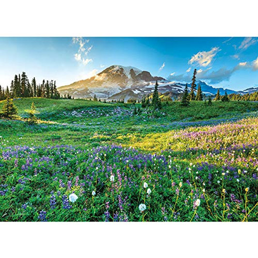 APPLEONE Jigsaw 500-269 Beautiful Mount Rainier (500 Pieces) APPLEONE Jigsaw 500-269 Beautiful Mount Rainier (500 Pieces)
