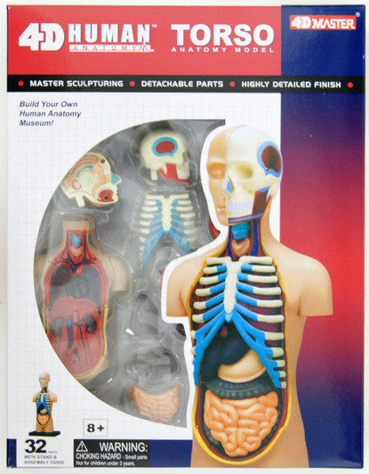 Aoshima 107119 4D Vision No.01 Torso Anatomical Model Non-scale Kit
